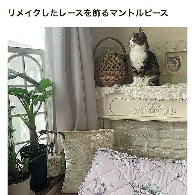 Rabbitさんの部屋