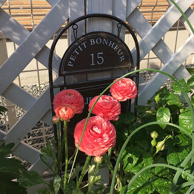 hirokoさんの実例写真