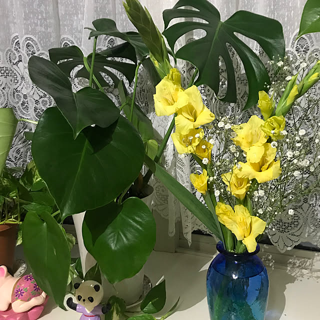 emikoさんの実例写真