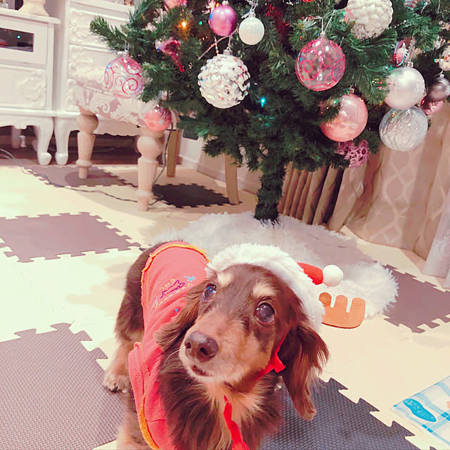 yuriさんの実例写真