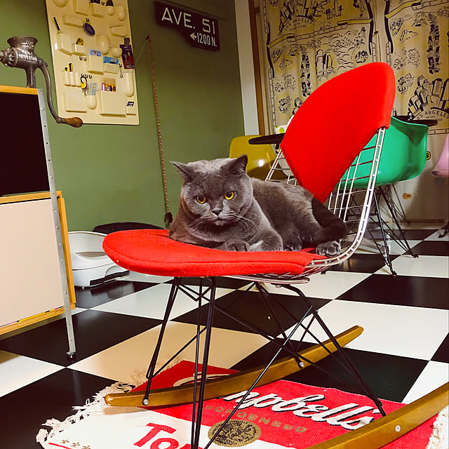 Shojiさんの実例写真