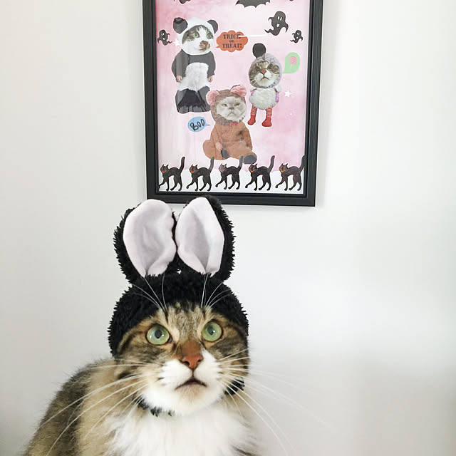 yuchiさんの実例写真