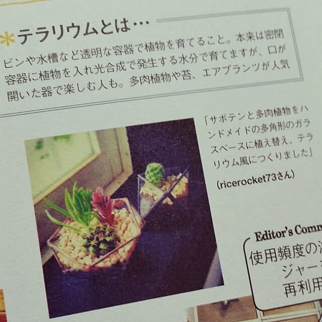 ricerocket73さんの実例写真