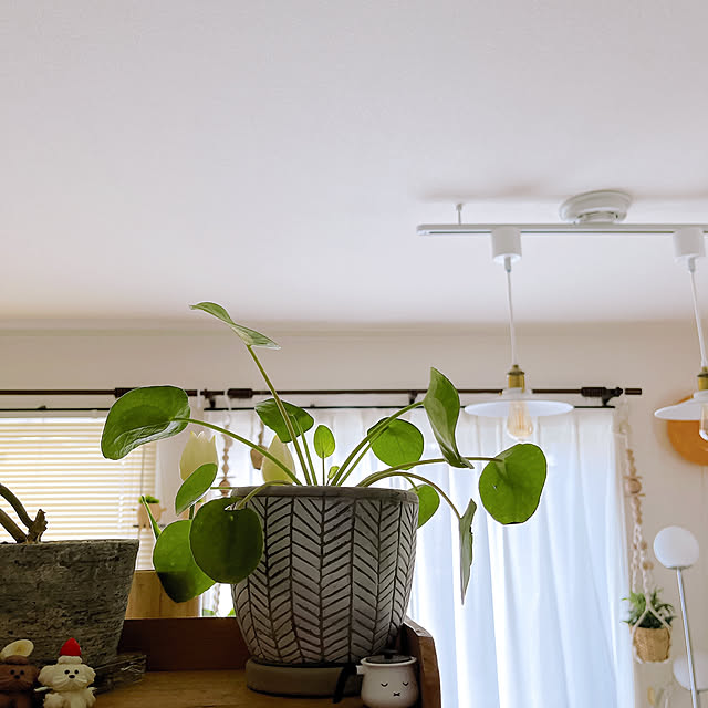 eriharuさんの部屋