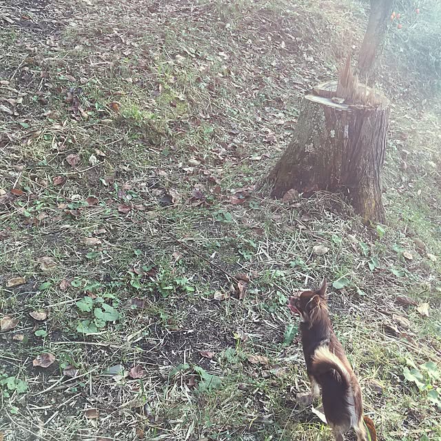 takaさんの実例写真