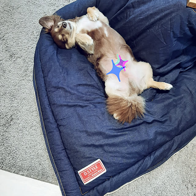 rikakoさんの実例写真