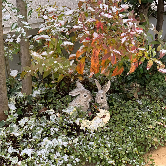 kekokekoさんの実例写真