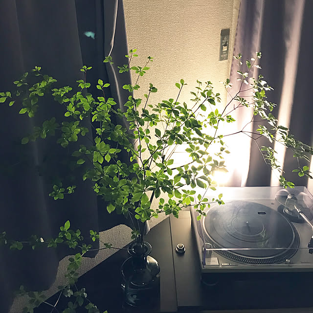 kabaeelさんの実例写真