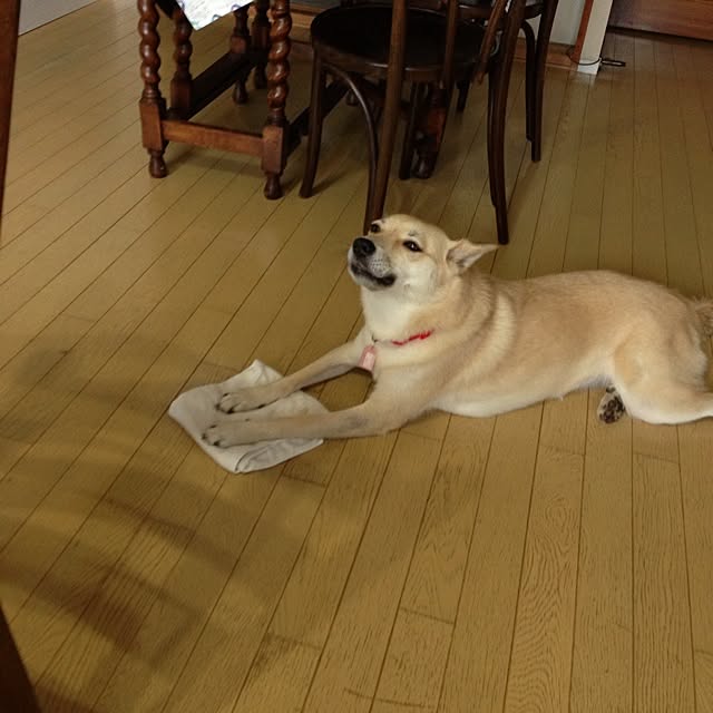 leonaさんの実例写真