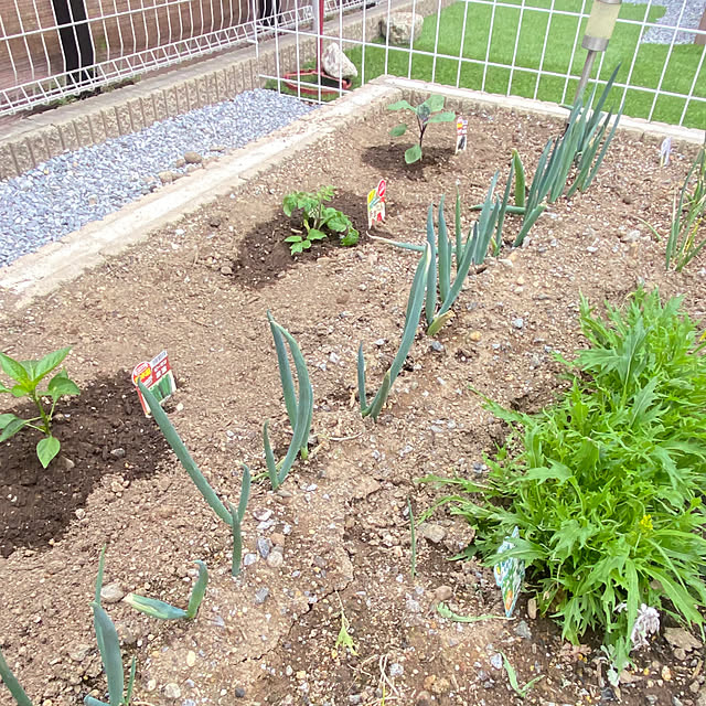 smileさんの実例写真