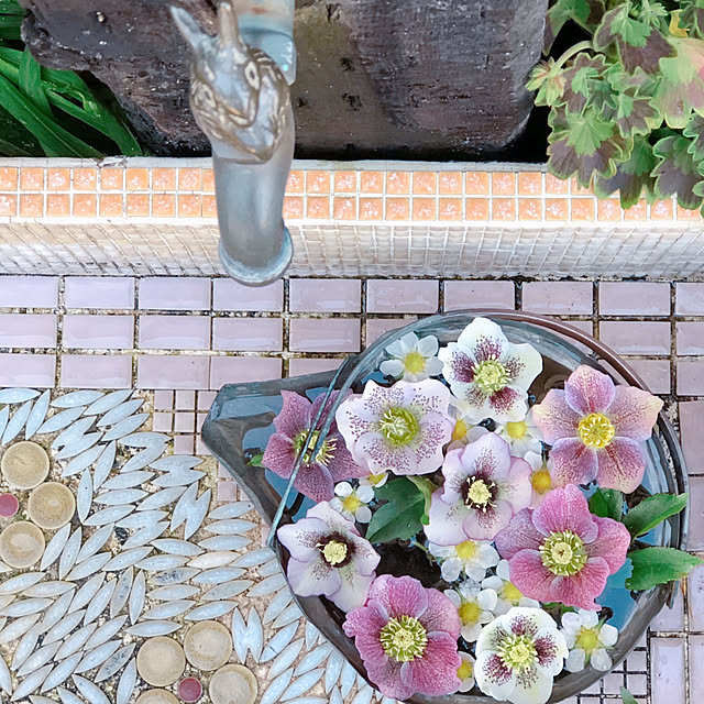 aokkoさんの実例写真