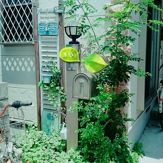玄関/入り口のインテリア実例 - 2016-06-28 16:30:23