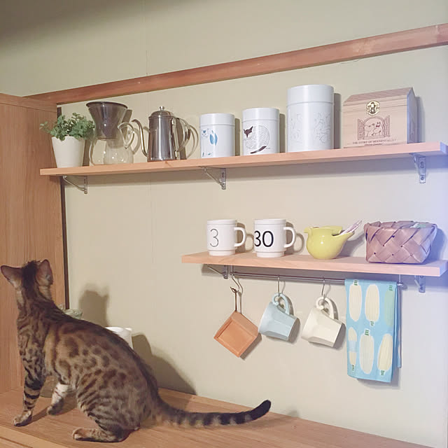 anさんの実例写真