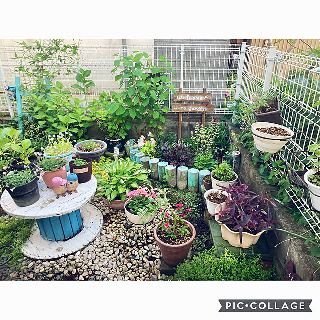 CoCo0617さんの部屋