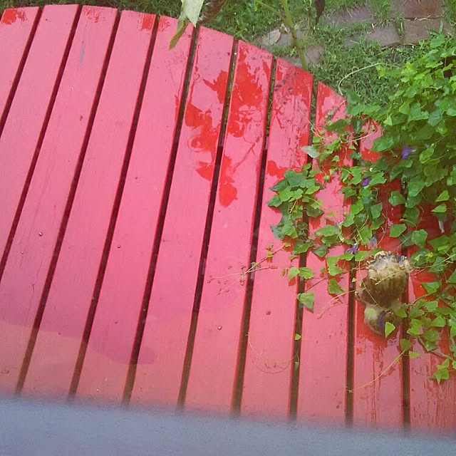 ganamiさんの実例写真