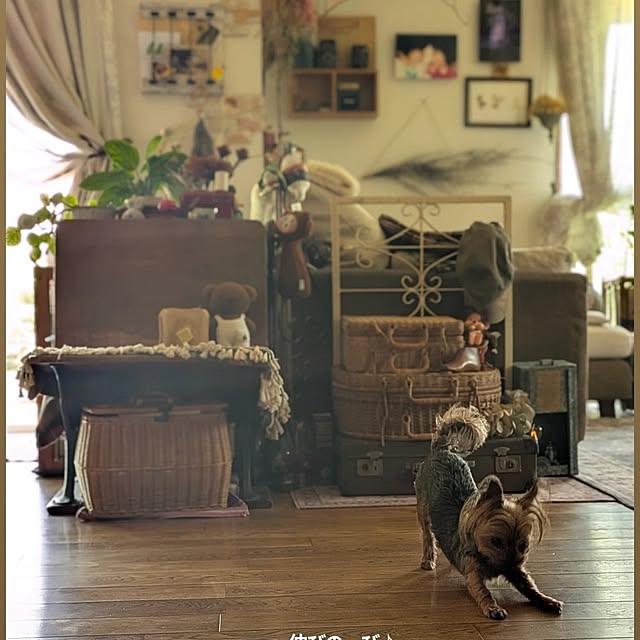akiさんの部屋