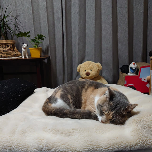 fukuさんの実例写真