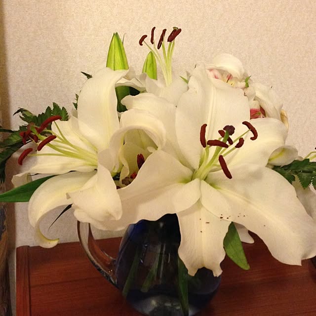 tomoさんの実例写真