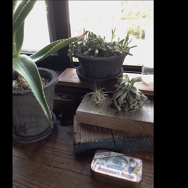 jnkaiさんの実例写真
