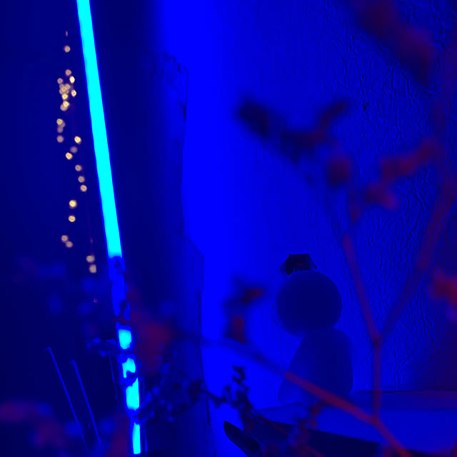 auraさんの実例写真