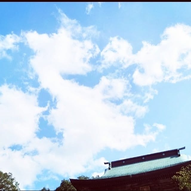 実例写真
