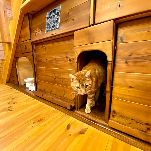 Let-s-DoDoDoさんの部屋