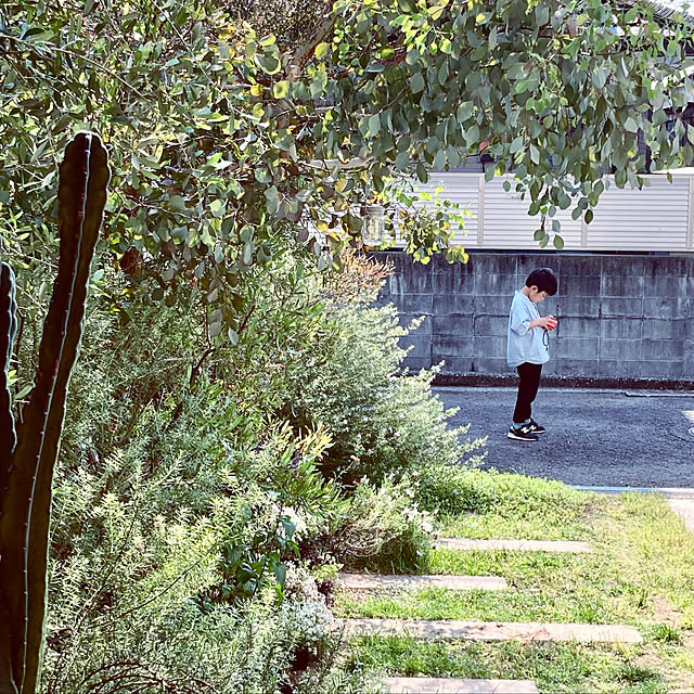 green.green.greenさんの実例写真