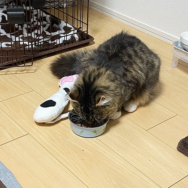 sh.0514さんの実例写真
