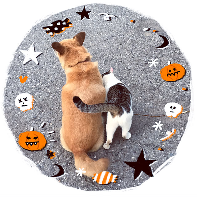 yocchiさんの実例写真
