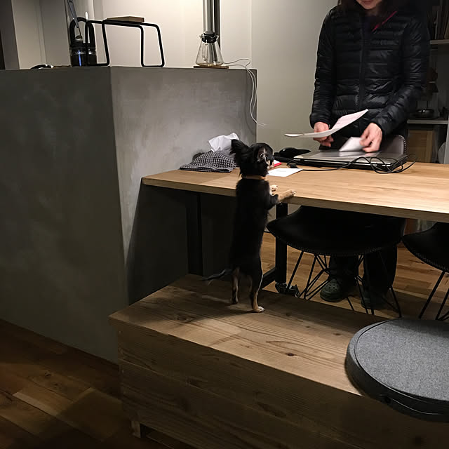 Noboさんの実例写真