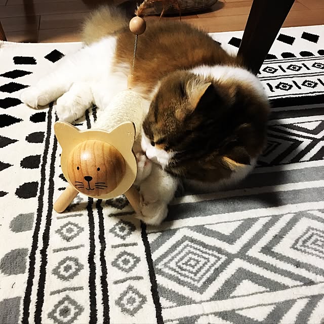 cotesanさんの実例写真
