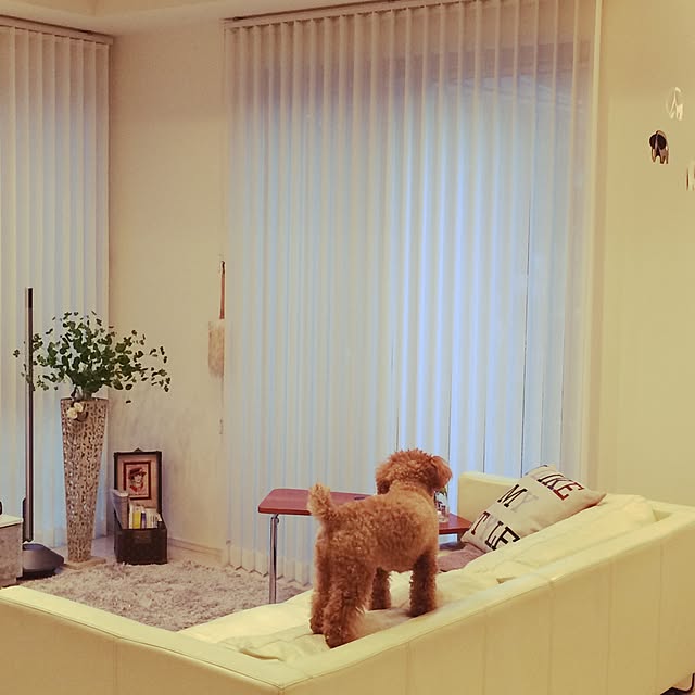 makiさんの実例写真