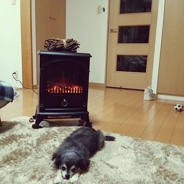 satominさんの実例写真