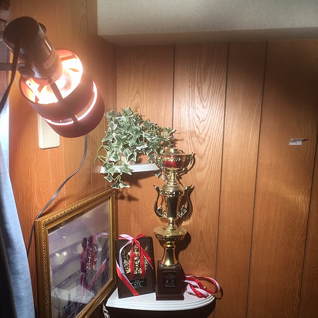 Airiさんの実例写真