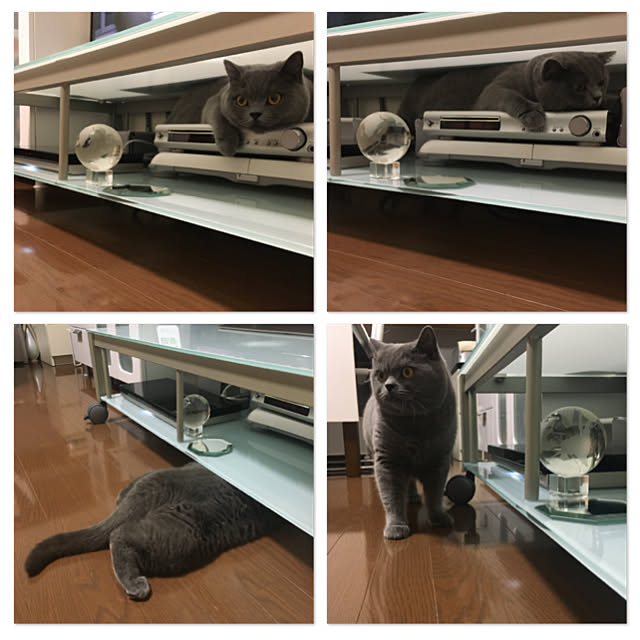 kittyさんの実例写真
