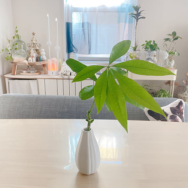 akiko-ovさんの部屋