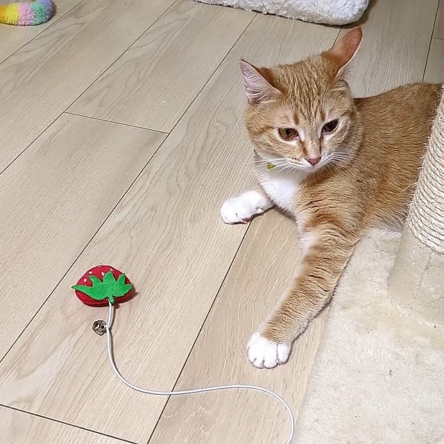 minnieさんの部屋