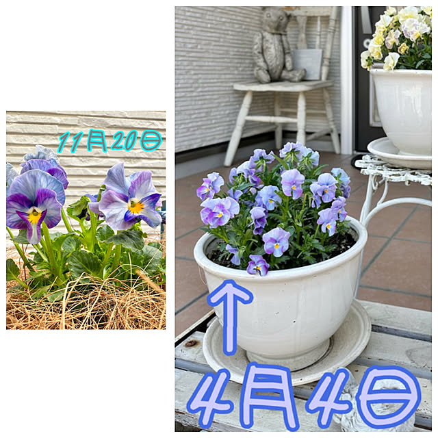 Re_さんの部屋