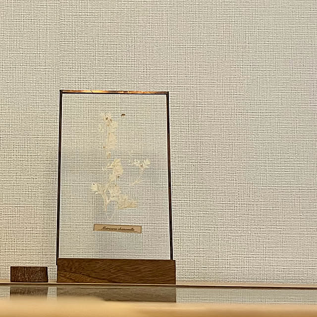 mocoさんの実例写真