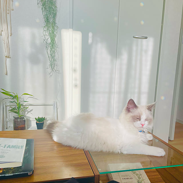 denco0322さんの実例写真