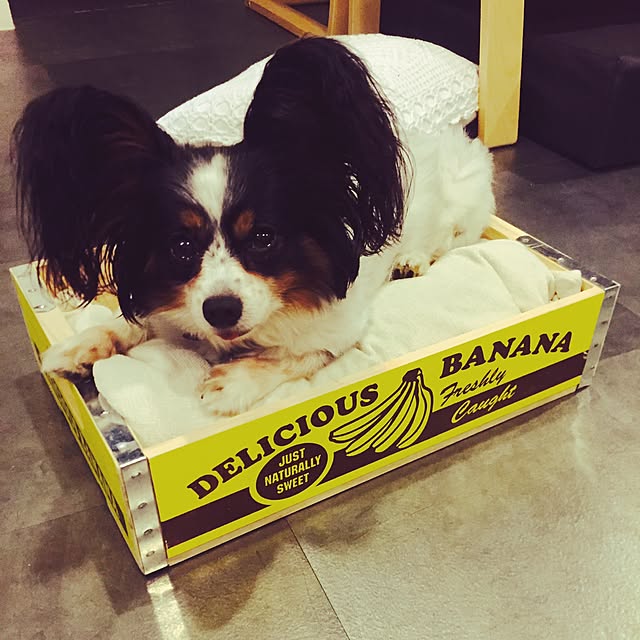 kanonさんの実例写真
