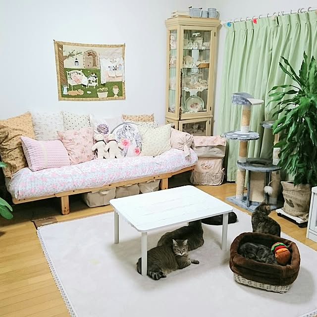 Ayuさんの実例写真