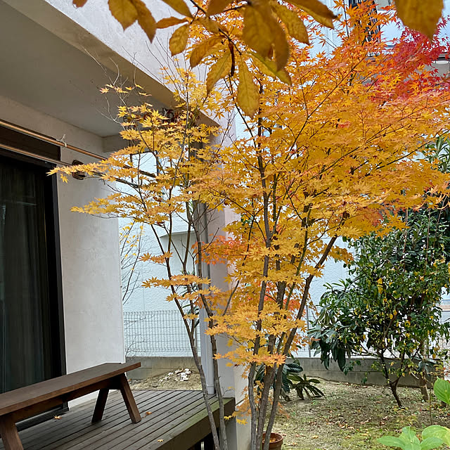 mkさんの部屋