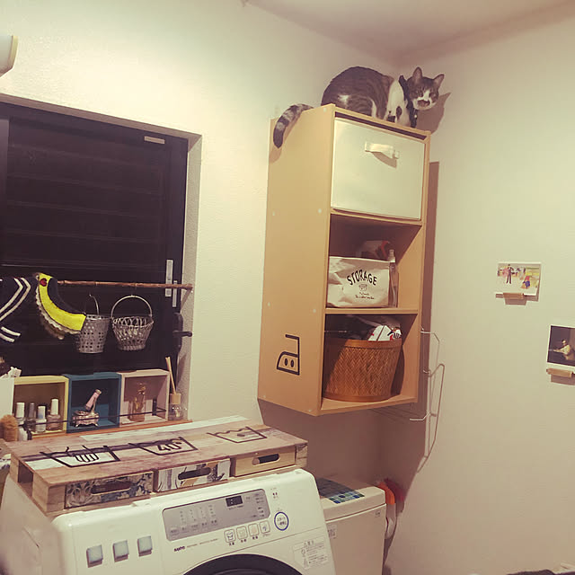 jijiさんの実例写真