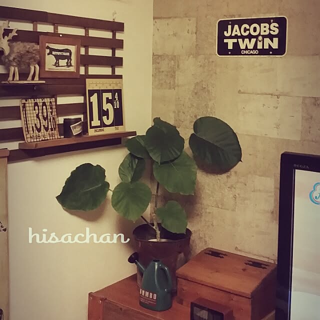 hisachanさんの実例写真