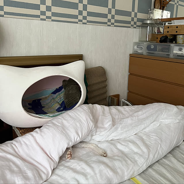 hanaさんの実例写真