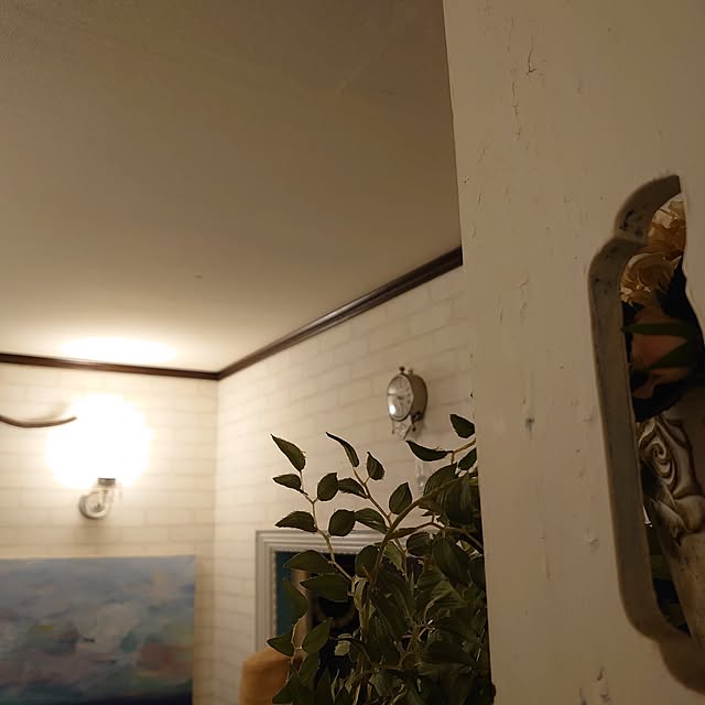 akaidarumaさんの部屋