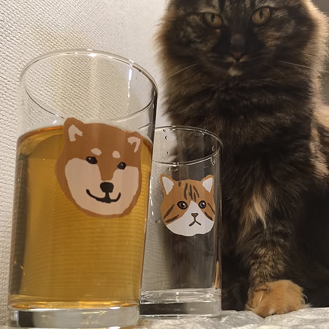 mikomaruさんの実例写真