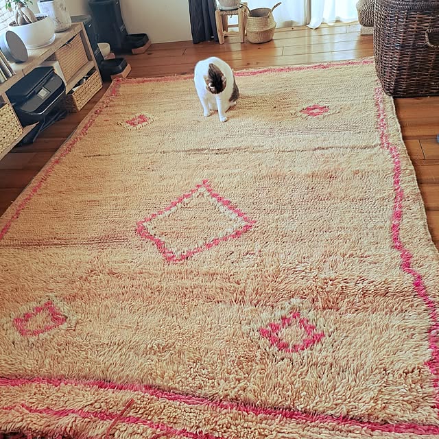 hajiroさんの実例写真