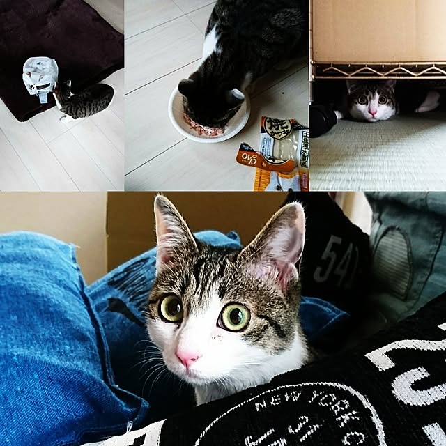 kiraさんの実例写真